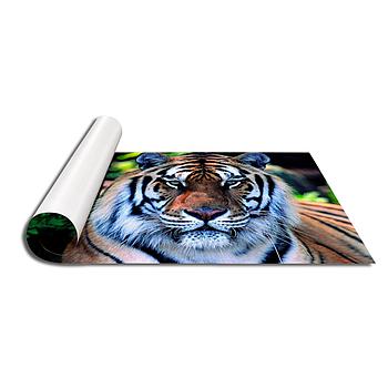 Stampe fotografiche 50 x 70